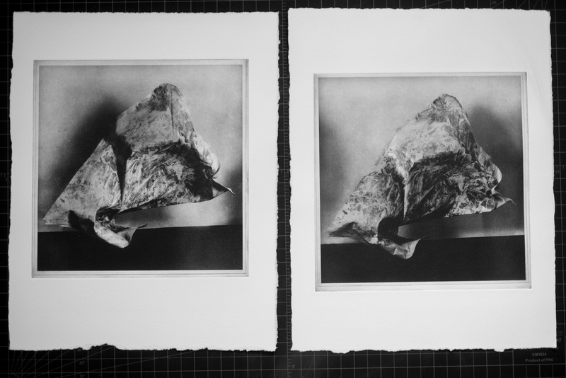 A pair of photolithographs of marbled fabric in mid-flight